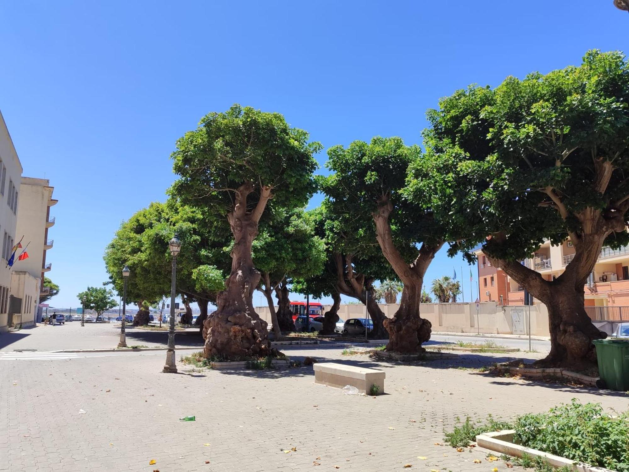 Alla Marina Da Pina Trapani Kültér fotó